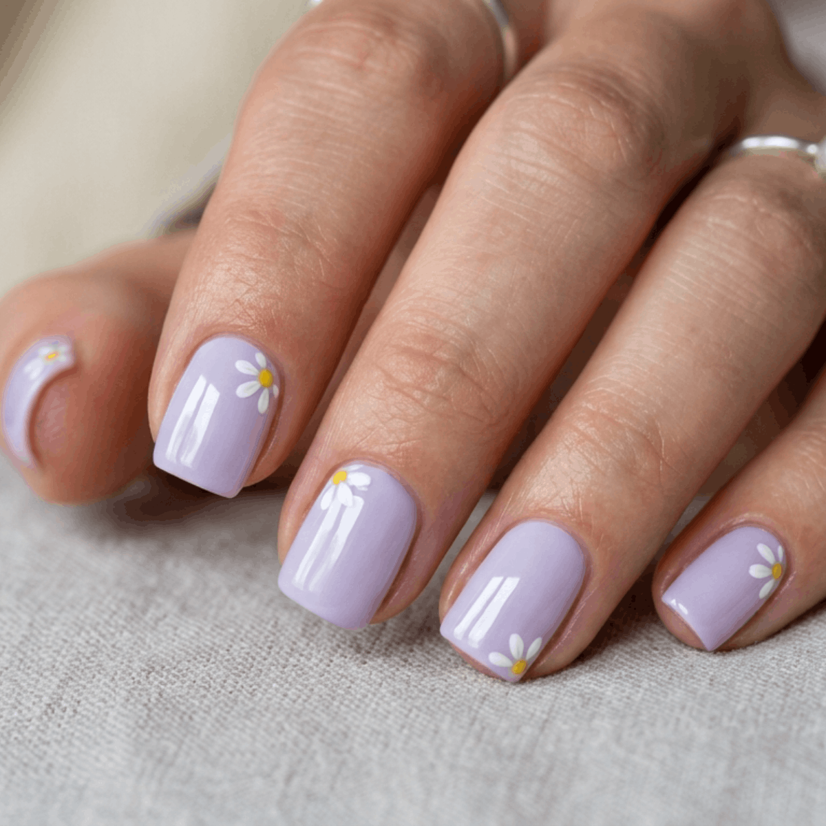 Lavender Dream