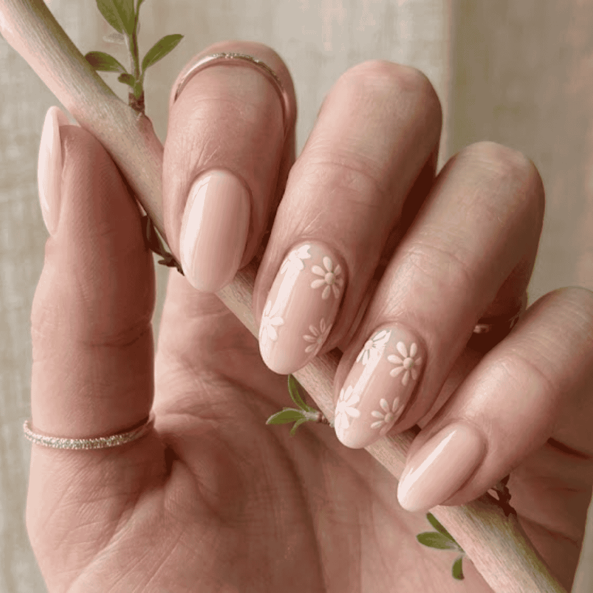 Pastel Daisy Accents